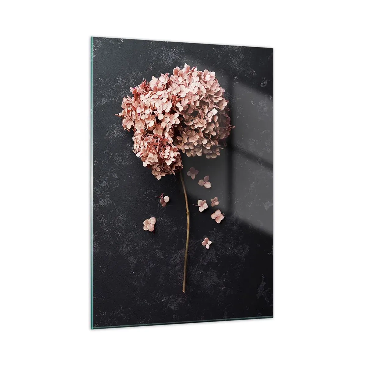 Cuadro sobre vidrio - Impresiones sobre Vidrio - Hortensia seca con pétalos dispersos sobre un fondo oscuro. - 50x70cm - Un signo verdaderamente romántico - Decoración de pared moderna para salón y dormitorio ARTTOR