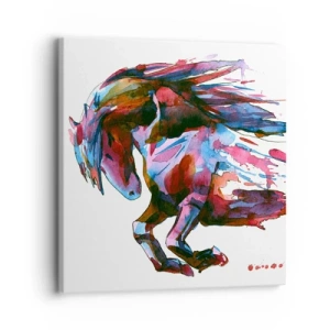 Cuadro sobre lienzo - Impresión de Imagen - En éxtasis - 30x30 cm
