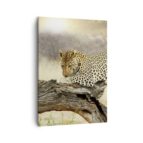 Cuadro sobre lienzo - Impresión de Imagen - Un leopardo descansando en el tronco de un árbol en la sabana. - 50x70cm - Voy por mi cuenta - Decoración de pared moderna para salón y dormitorio ARTTOR