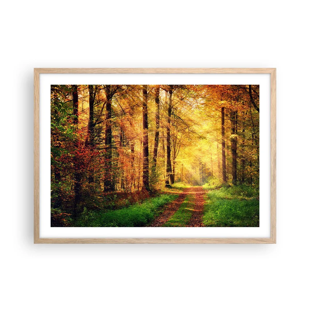 Póster en marco roble claro - Silencio dorado del bosque - 70x50 cm