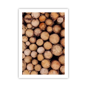 Póster - Troncos de árboles cortados naturales en un arreglo artístico. - 50x70cm - Un nuevo comienzo - Decoración de pared moderna para salón y dormitorio ARTTOR