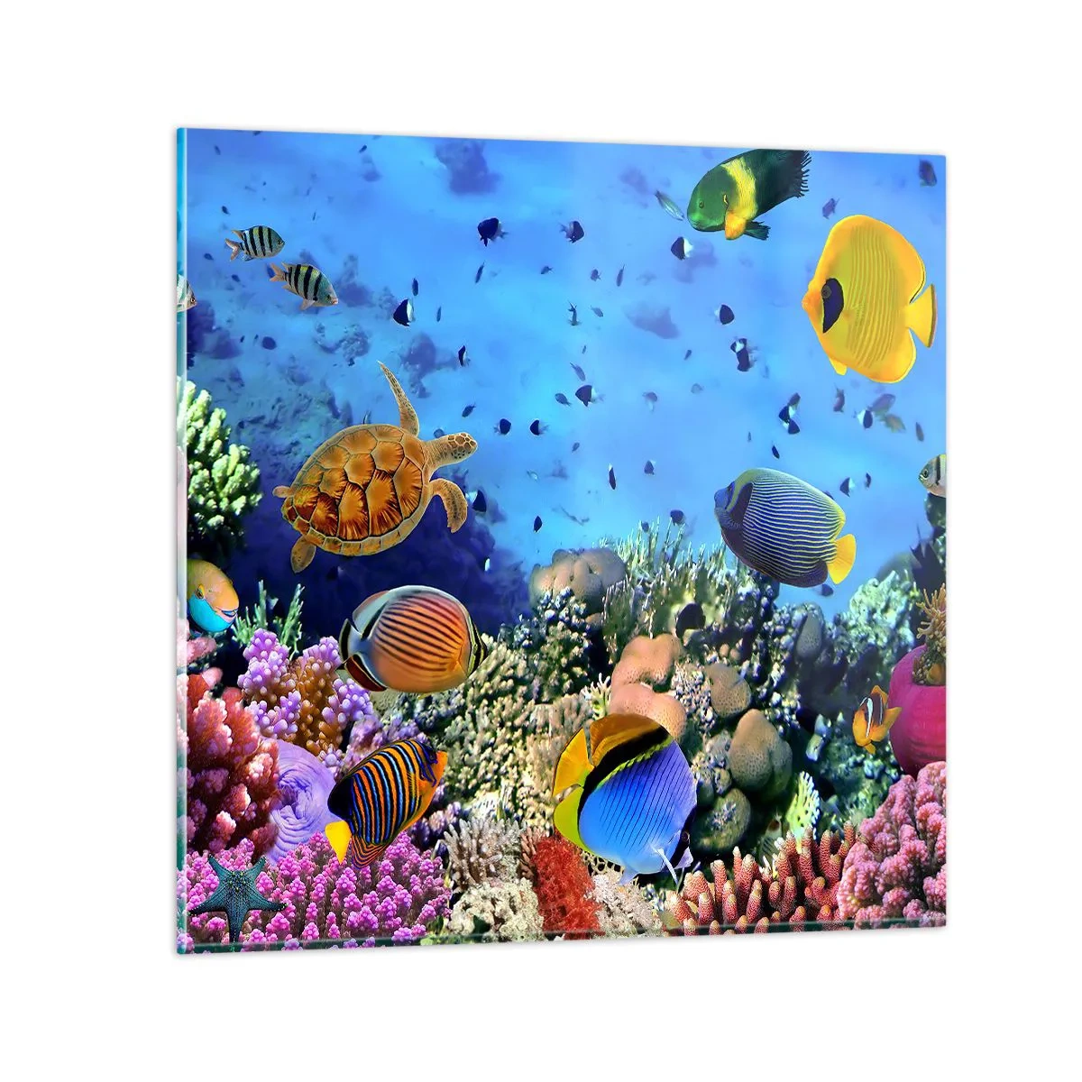 Cuadro sobre vidrio - Impresiones sobre Vidrio - Y qué sabemos de la vida... - 40x40 cm