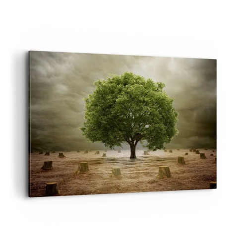 Cuadro sobre lienzo - Impresión de Imagen - Un árbol verde rodeado de troncos talados contra un cielo nublado. - 120x80cm - La esperanza - Decoración de pared moderna para salón y dormitorio ARTTOR