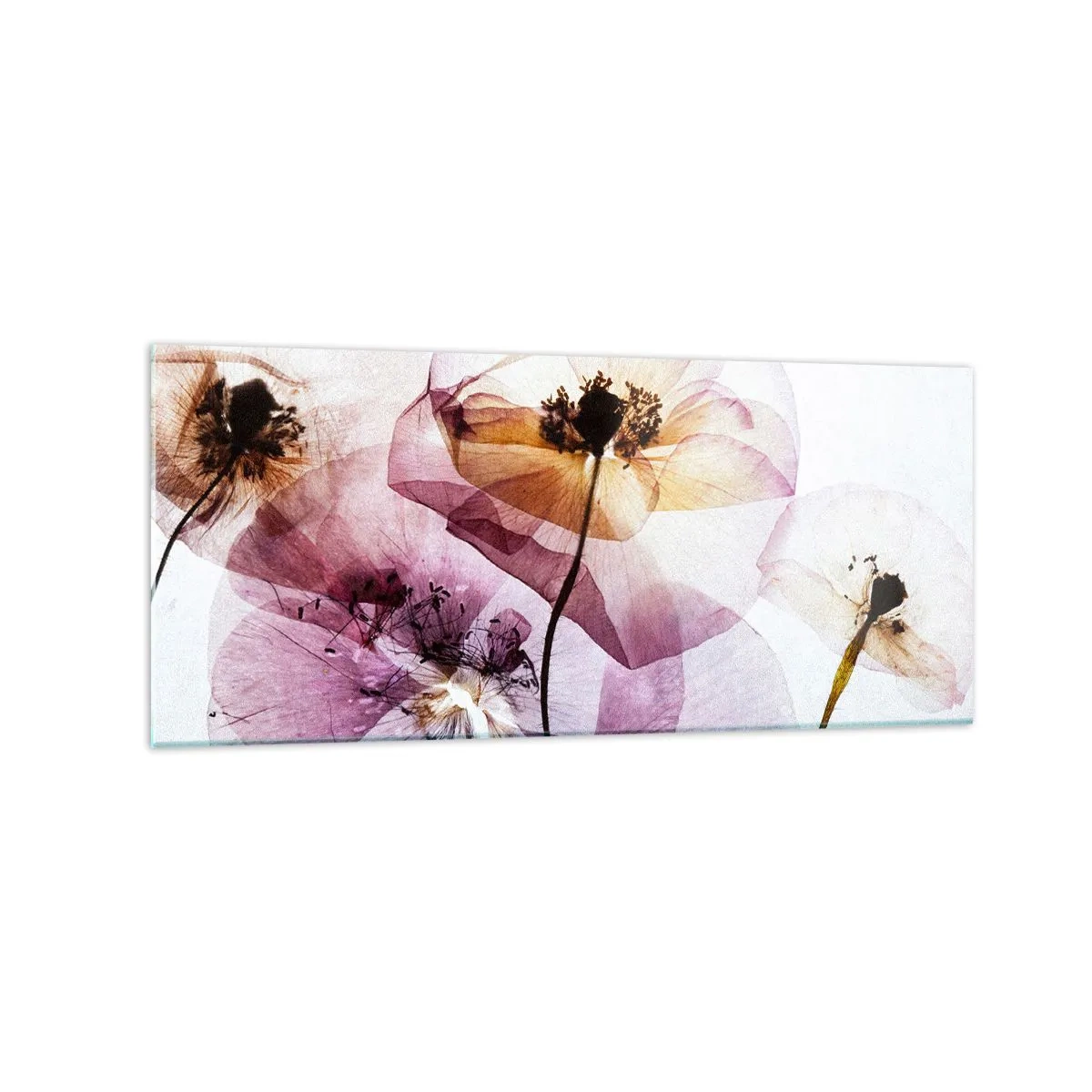 Cuadro sobre vidrio - Impresiones sobre Vidrio - Delicadas flores transparentes en tonos pastel. - 120x50cm - Cuerpo de flor - Decoración de pared moderna para salón y dormitorio ARTTOR