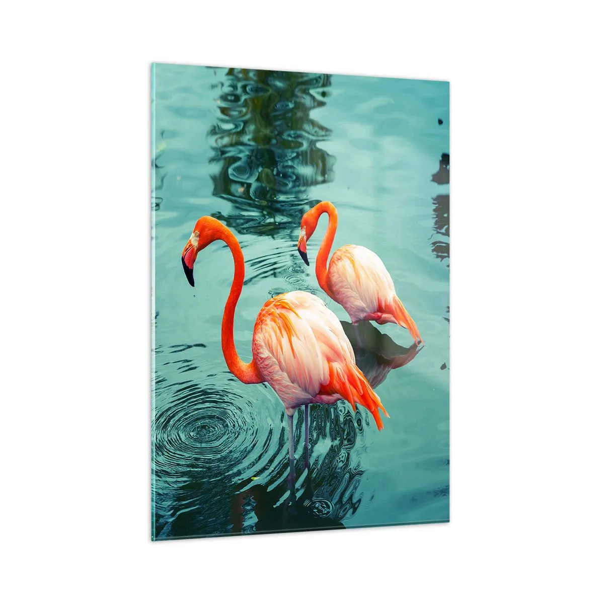 Cuadro sobre vidrio - Impresiones sobre Vidrio - Flamencos en el agua en una composición armoniosa. - 50x70cm - Estamos de moda - Decoración de pared moderna para salón y dormitorio ARTTOR