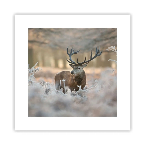 Póster - Una mañana fresca - 30x30 cm