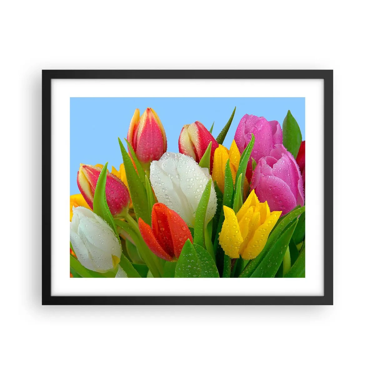 Póster en marco negro - Arco iris floral en gotas de rocío - 50x40 cm