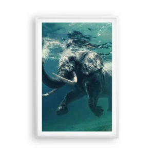 Póster en marco blanco - A todos nos gusta nadar - 61x91 cm