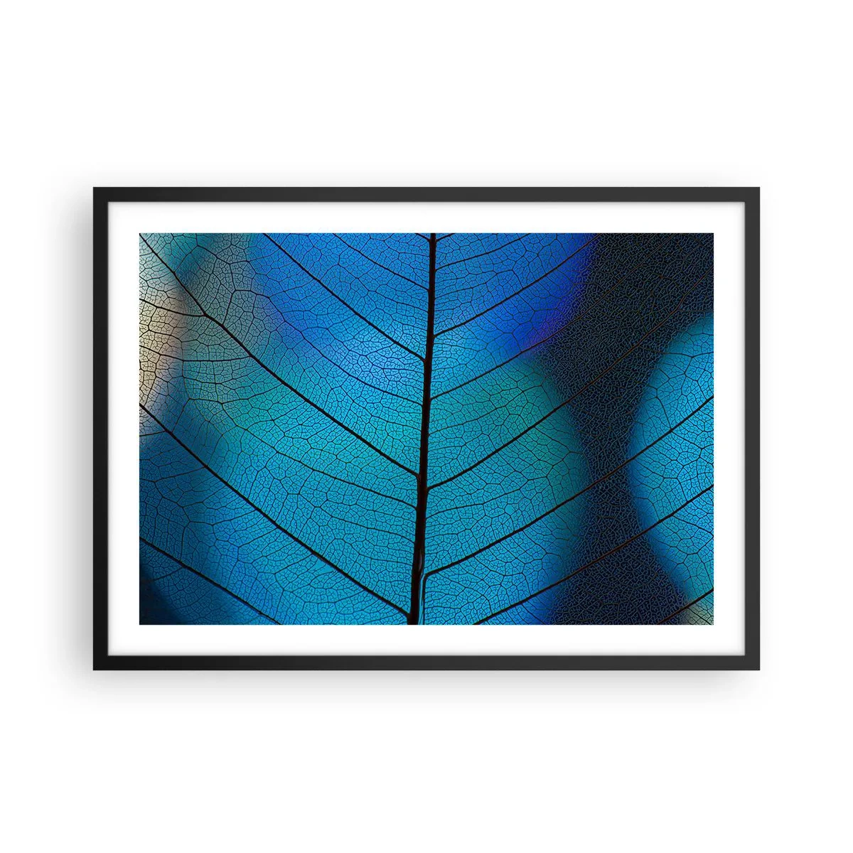 Póster en marco negro - Primer plano de una hoja azul con detalle de vena visible - 70x50cm - Construcción intrincada - Decoración de pared moderna para salón y dormitorio ARTTOR
