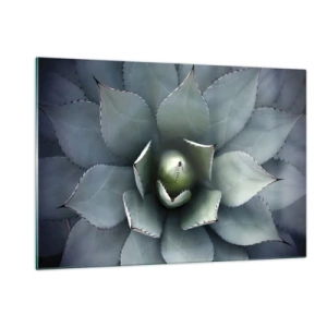 Cuadro sobre vidrio - Impresiones sobre Vidrio - Un primer plano de las hojas de agave simétricas de color acero. - 120x80cm - Perfección natural - Decoración de pared moderna para salón y dormitorio ARTTOR