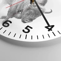 Esfera con numeración