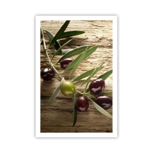 Póster - Directamente de la naturaleza - 61x91 cm