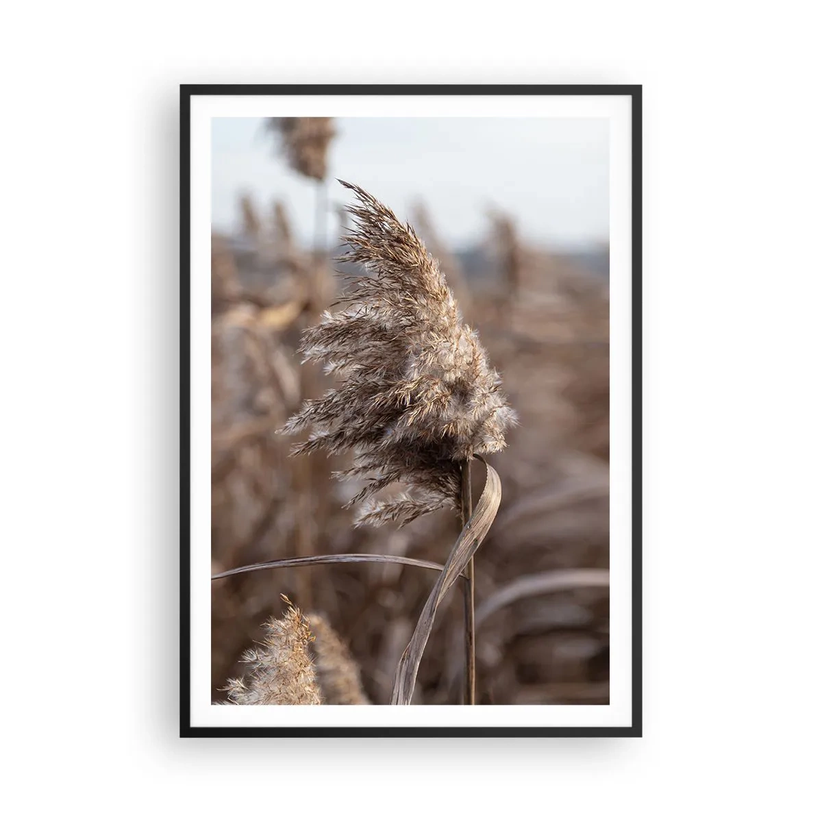 Póster en marco negro - Es hora de volar con el viento - 70x100 cm