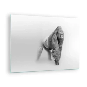 Cuadro sobre vidrio - Impresiones sobre Vidrio - Retrato en blanco y negro de un majestuoso gorila sobre un fondo blanco. - 70x50cm - Confiando en su fuerza - Decoración de pared moderna para salón y dormitorio ARTTOR