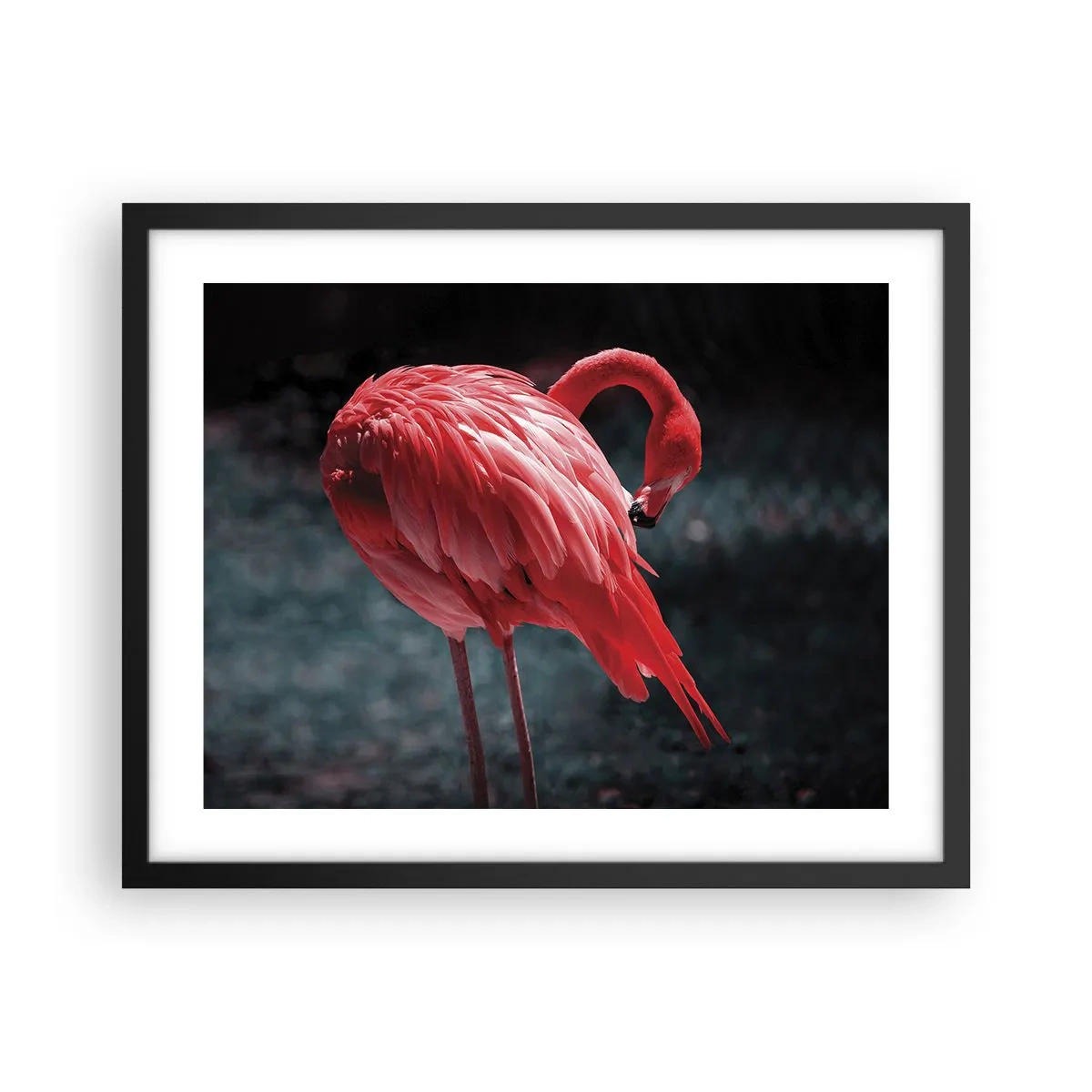 Póster en marco negro - Un poema carmesí de la naturaleza - 50x40 cm
