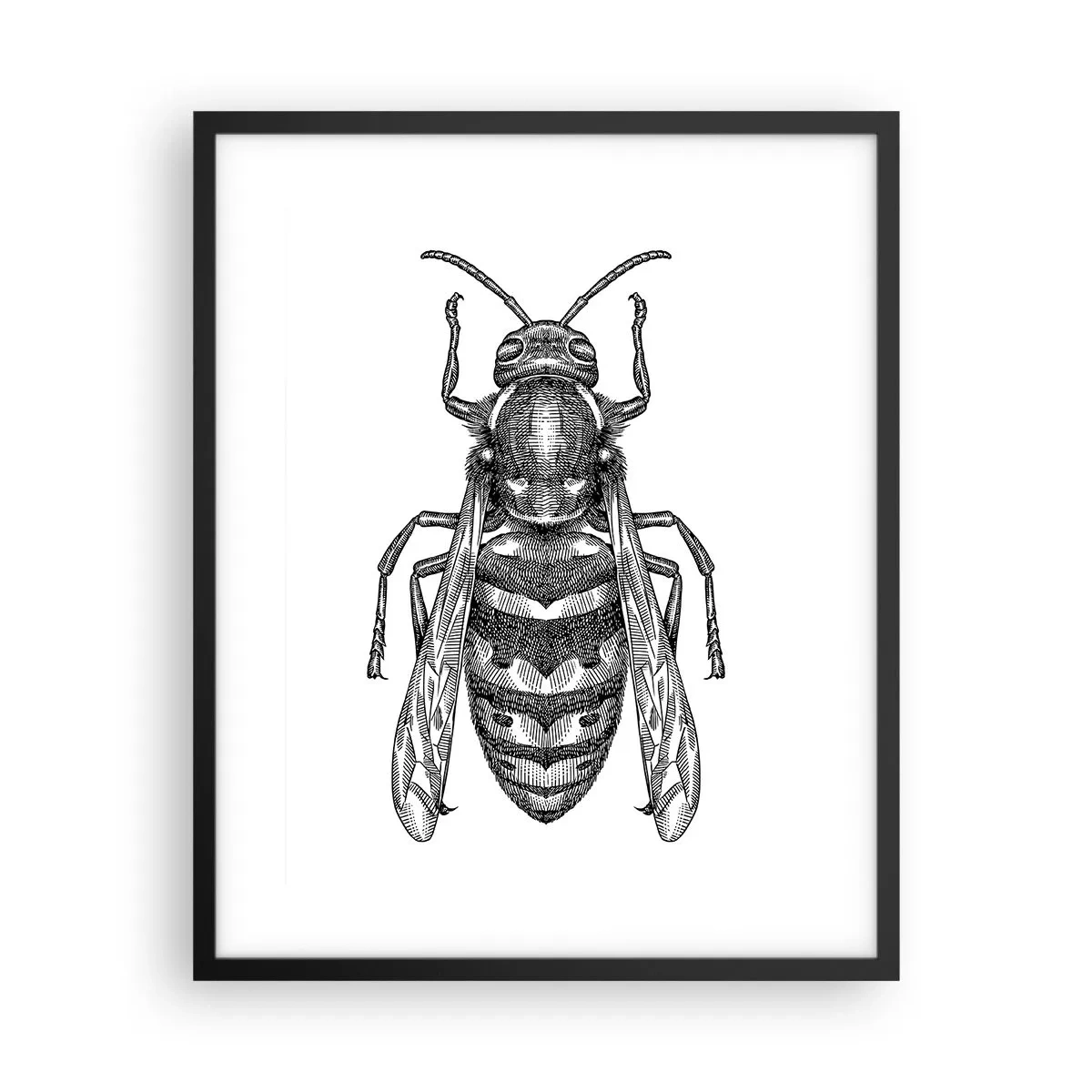 Póster en marco negro - Desde un planeta de insectos - 40x50 cm