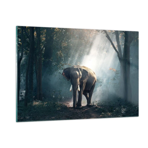 Cuadro sobre vidrio - Impresiones sobre Vidrio - Un elefante caminando por el bosque con la luz del sol filtrándose entre los árboles. - 120x80cm - Un paseo tranquilo - Decoración de pared moderna para salón y dormitorio ARTTOR