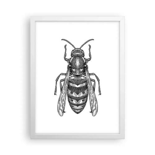 Póster en marco blanco - Desde un planeta de insectos - 30x40 cm