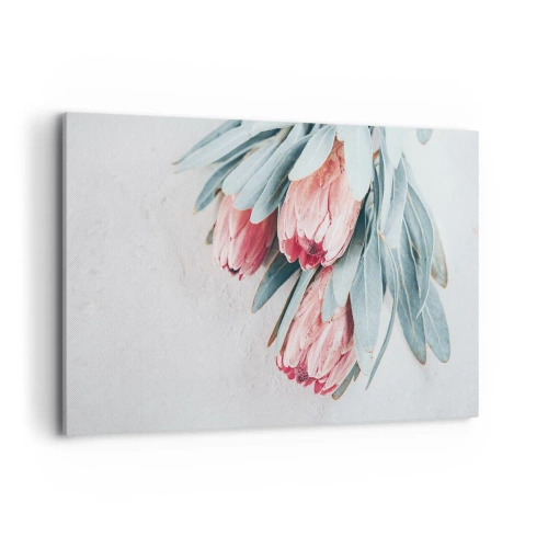 Cuadro sobre lienzo - Impresión de Imagen - Sutiles flores de protea rosa sobre un fondo claro. - 120x80cm - Avergonzada de su propia belleza - Decoración de pared moderna para salón y dormitorio ARTTOR