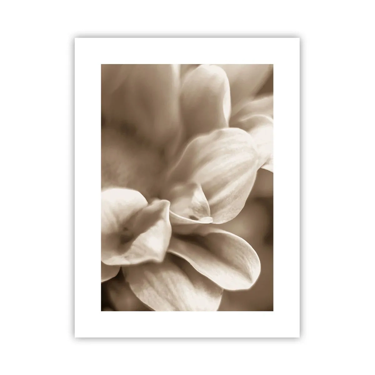 Póster - Suave como una sonrisa - 30x40 cm