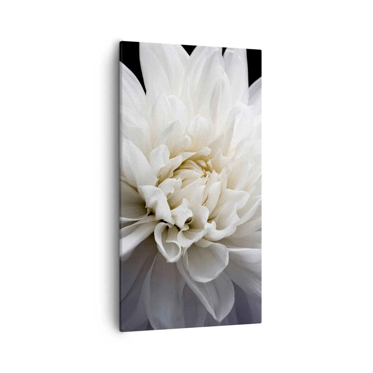 Cuadro sobre lienzo - Impresión de Imagen - La novia de la mañana - 55x100 cm