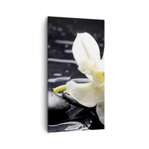 Cuadro sobre lienzo - Impresión de Imagen - Un estudio en blanco y negro - 55x100 cm