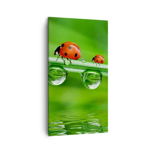 Cuadro sobre lienzo - Impresión de Imagen - En el camino todo el verano - 45x80 cm