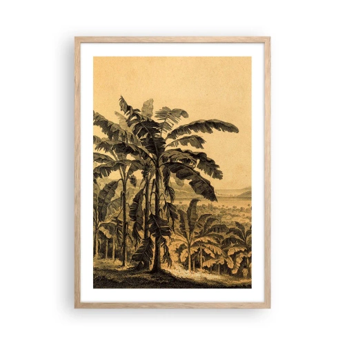 Póster en marco roble claro - En un ambiente colonial - 50x70 cm