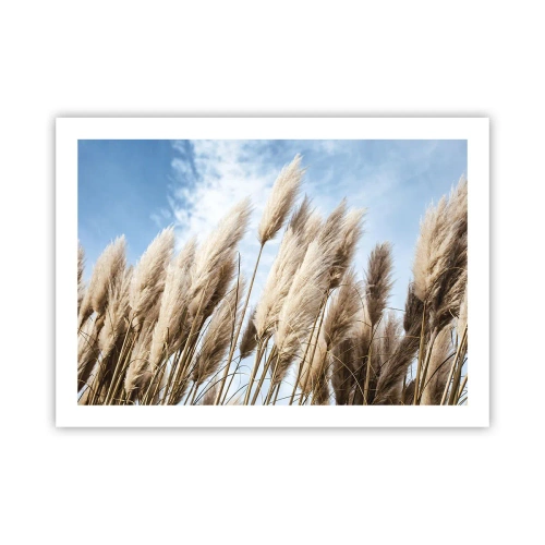 Póster - Una caricia soleada y ventosa - 70x50 cm