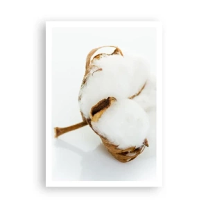 Póster - Suave por naturaleza - 70x100 cm