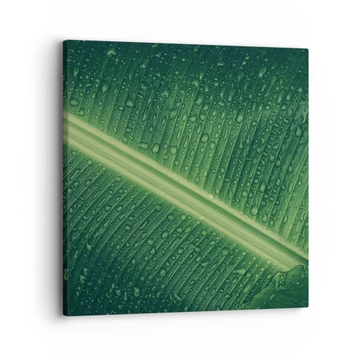 Cuadro sobre lienzo - Impresión de Imagen - Estructura del verde - 30x30 cm