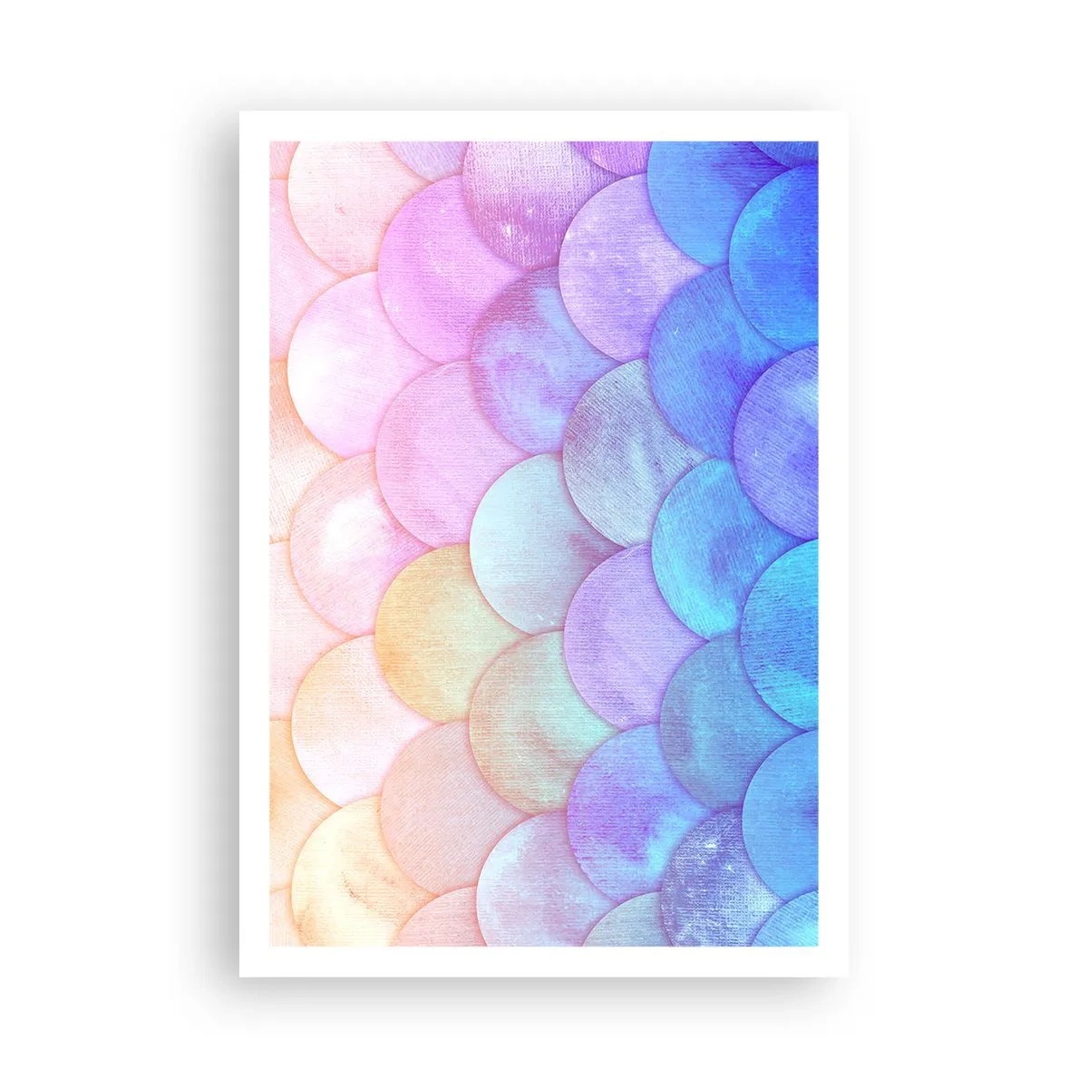 Póster - Concha de perla - 70x100 cm