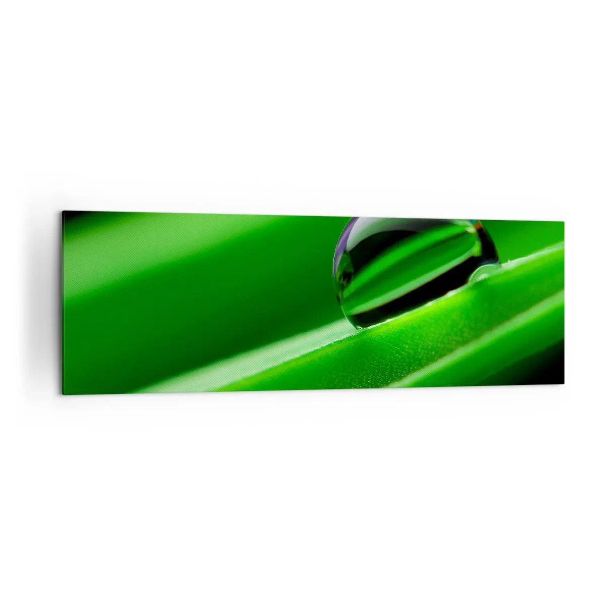 Cuadro sobre lienzo - Impresión de Imagen - Primer plano de una gota de rocío sobre una hoja verde - 160x50cm - La vida de cerca - Decoración de pared moderna para salón y dormitorio ARTTOR