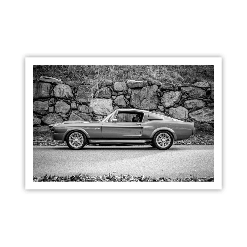 Póster - Una leyenda de los años 60 - 91x61 cm