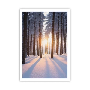 Póster - Claramente en blanco y negro - 70x100 cm