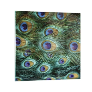 Cuadro sobre vidrio - Impresiones sobre Vidrio - Mirada de pavo real - 70x70 cm