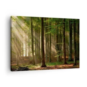 Cuadro sobre lienzo - Impresión de Imagen - Los rayos del sol penetran a través de los árboles en el bosque. - 70x50cm - Radiante en una mañana de primavera - Decoración de pared moderna para salón y dormitorio ARTTOR