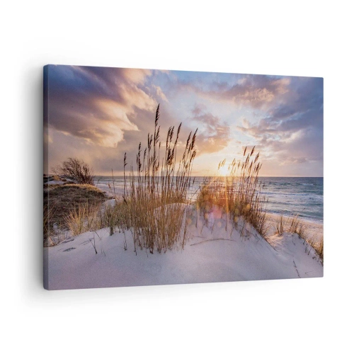 Cuadro sobre lienzo - Impresión de Imagen - Dunas con hierbas con el sol poniente como telón de fondo - 70x50cm - Adiós al sol y al viento - Decoración de pared moderna para salón y dormitorio ARTTOR