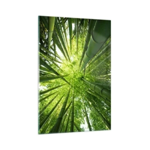 Cuadro sobre vidrio - Impresiones sobre Vidrio - Vista hacia arriba a través de un bosque de bambú verde. - 80x120cm - En un bosquecillo de bambú - Decoración de pared moderna para salón y dormitorio ARTTOR
