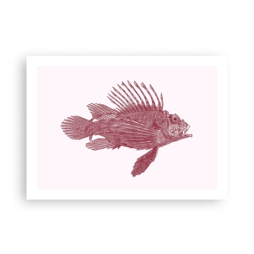 Póster - Un habitante de aguas exóticas - 70x50 cm