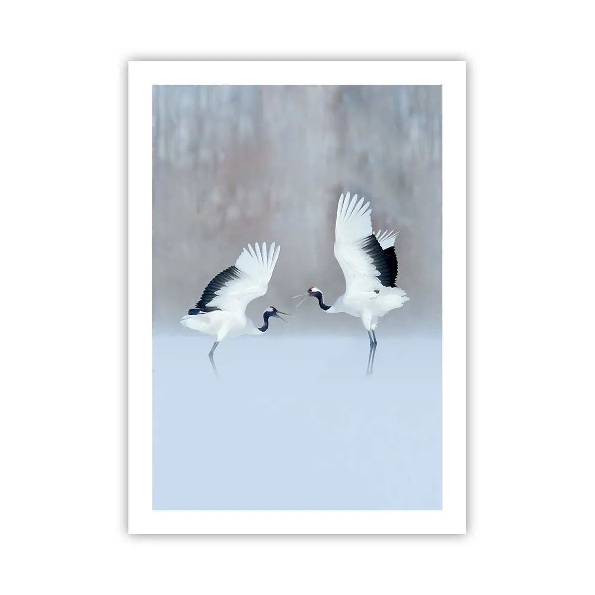 Póster - Grullas danzantes con el telón de fondo de un paisaje invernal - 50x70cm - Danza en la niebla - Decoración de pared moderna para salón y dormitorio ARTTOR