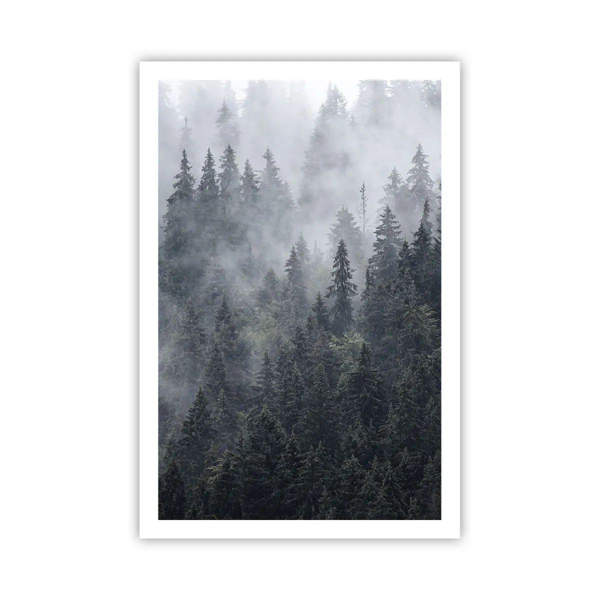 Póster - Amanecer en el bosque - 61x91 cm