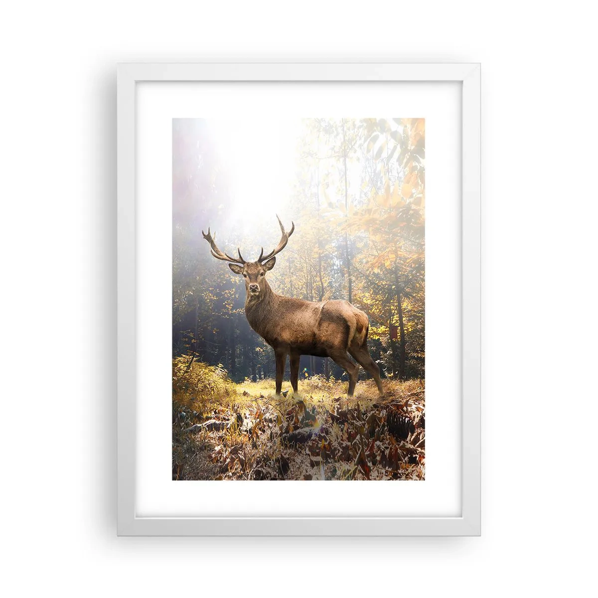 Póster en marco blanco - Con toda la majestuosidad - 30x40 cm
