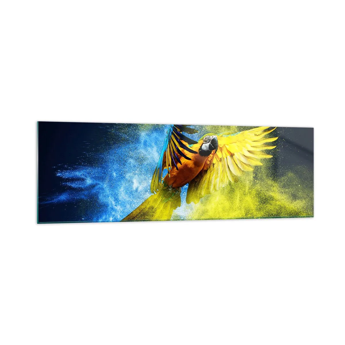 Cuadro sobre vidrio - Impresiones sobre Vidrio - Un loro en vuelo sobre un fondo de explosiones de colores amarillo y azul. - 160x50cm - En polvo azul y dorado - Decoración de pared moderna para salón y dormitorio ARTTOR