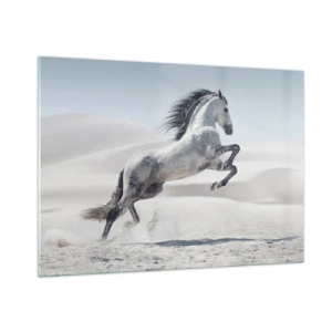 Cuadro sobre vidrio - Impresiones sobre Vidrio - Un caballo blanco saltando con el telón de fondo de las dunas del desierto. - 100x70cm - Un príncipe árabe - Decoración de pared moderna para salón y dormitorio ARTTOR