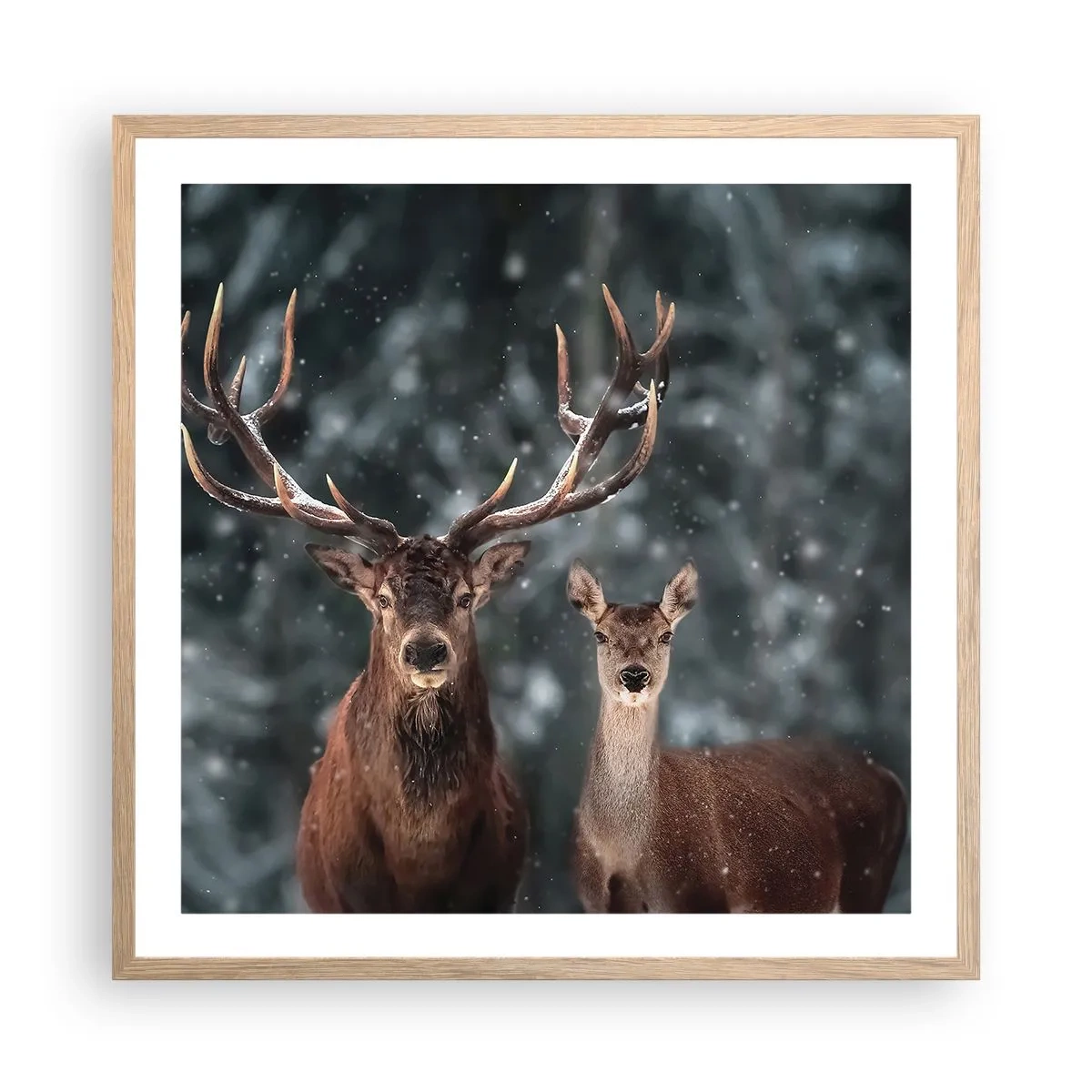 Póster en marco roble claro - El señor y la señora del bosque - 60x60 cm