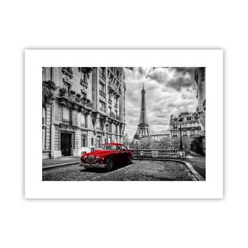 Póster - Un depredador en la ciudad - 40x30 cm