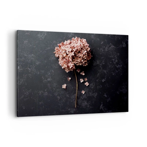 Cuadro sobre lienzo - Impresión de Imagen - Una delicada flor de hortensia sobre un fondo oscuro. - 100x70cm - Un signo verdaderamente romántico - Decoración de pared moderna para salón y dormitorio ARTTOR