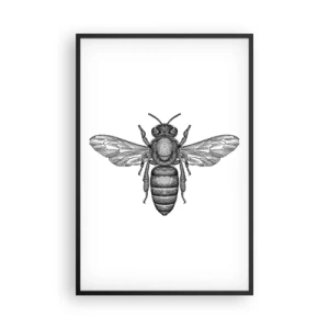 Póster en marco negro - Retrato de insecto - 61x91 cm