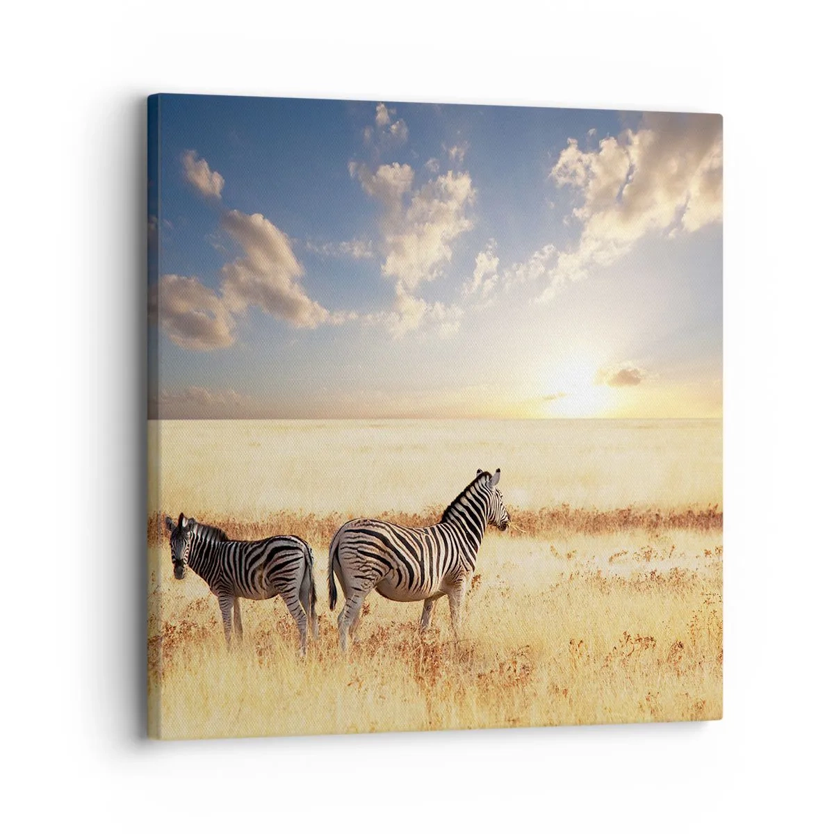 Cuadro sobre lienzo - Impresión de Imagen - Vete, no perturbes la paz - 30x30 cm